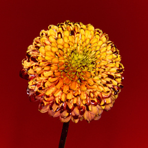 手机看福利大片
