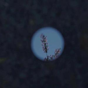 手机看福利大片
