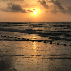 手机看福利大片
