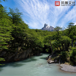 手机看福利大片
